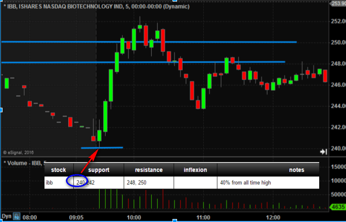 Ibb stock options